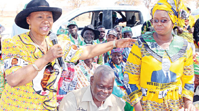 Zanu-PF slams US