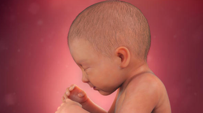 Foetus found in toilet