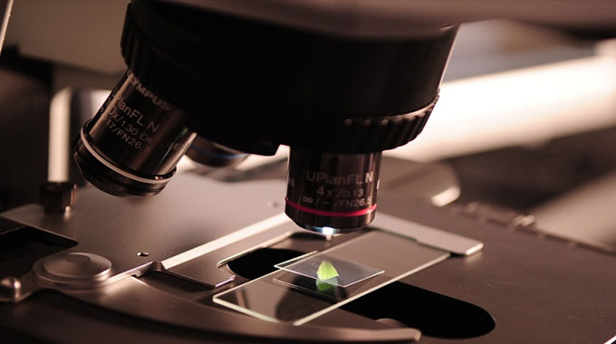 Africa needs better science capacity to meet environmental challenges
