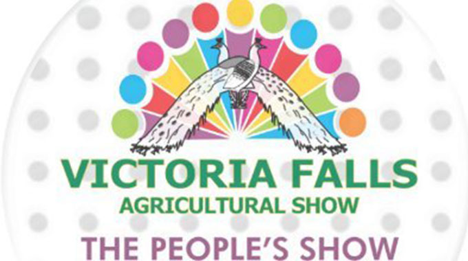 Vic Falls expo flops