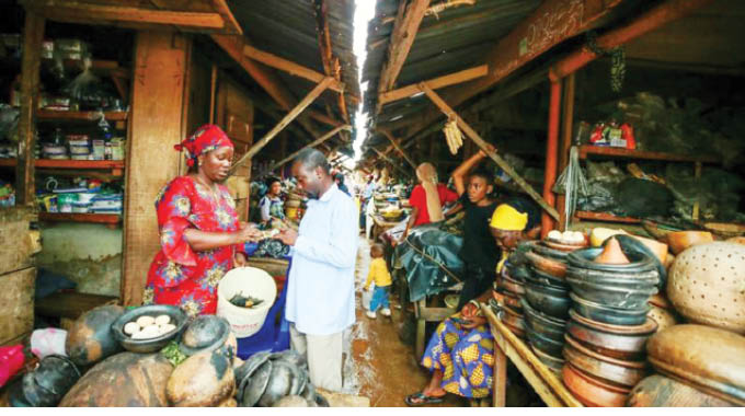 Nigeria staging ground for the illegal pangolin trade