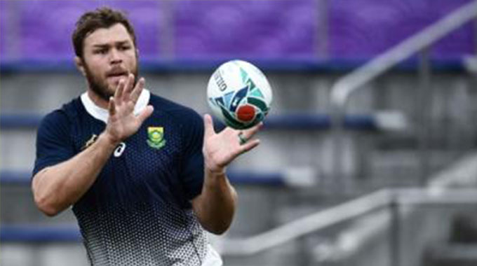 Springboks lean on local knowledge as they face Japan