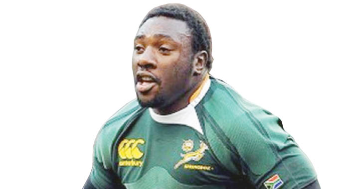 Why Boks will halt Japan’s ‘bullet train’
