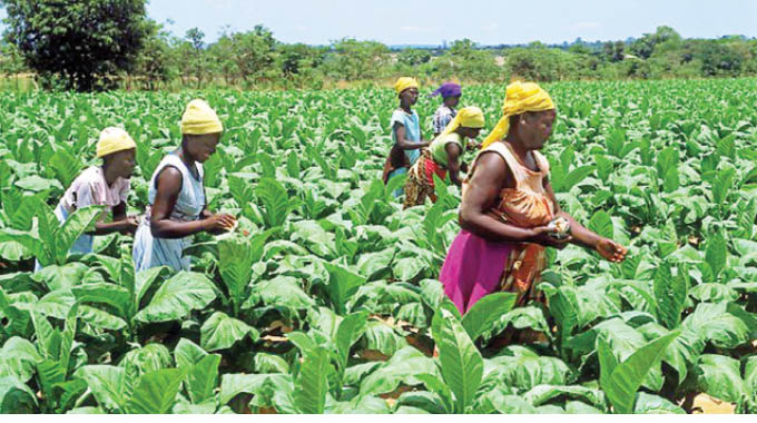 Gokwe South RDC comes up with gender policy document