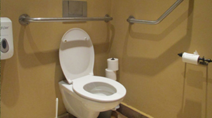 80pc of Byo public toilets out of order