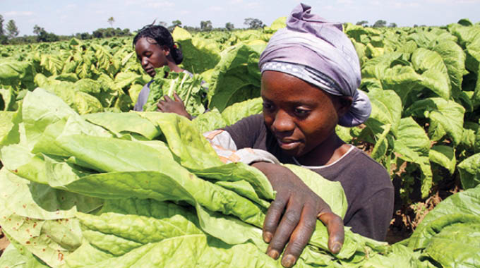 Women and young people in Zimbabwe’s Covid-19 economy