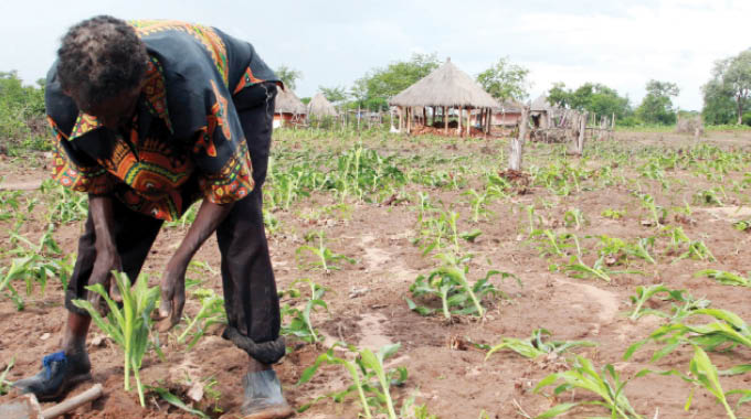 Letters to the Editor: Survivors relive the horror of Binga floods