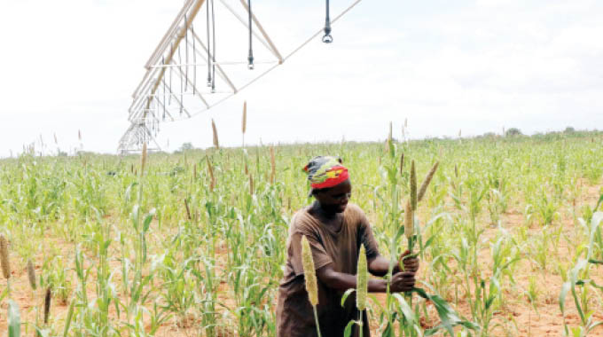 Vandalism, squabbles stall Bulawayo Kraal