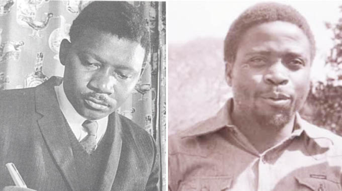 Lawyers worked behind the scenes in pursuit of justice in Zimbabwe