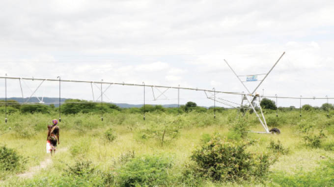 Foreign investor for Byo Kraal