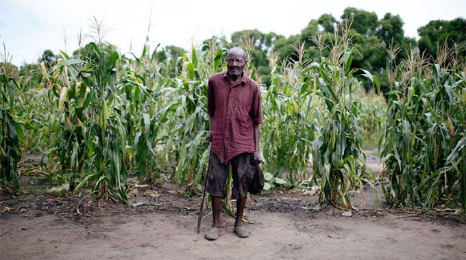 Thousands wait in shelters a year after Cyclone Idai