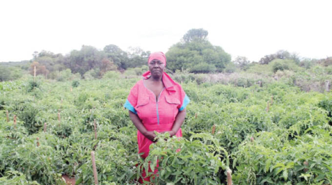 Nutritional gardens give communities food security