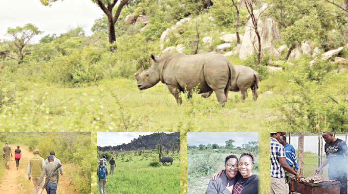 White rhino tracking on foot: Experience of a lifetime