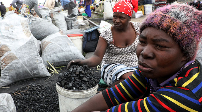 Law vs survival in Byo’s charcoal trade