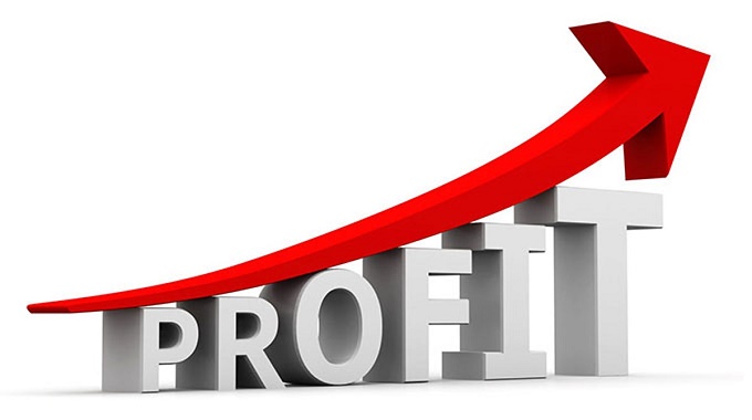 Firms ride on price hikes to make profits