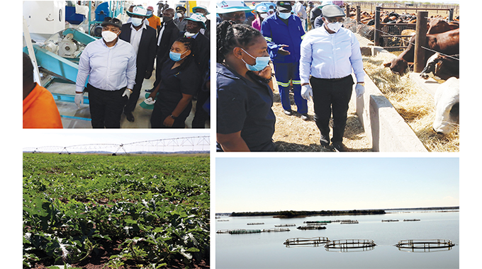 Government prioritises irrigation schemes