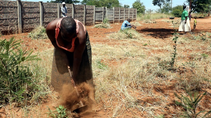 Bulawayo residents observe clean up campaign by tending to homes