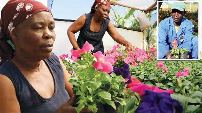 Covid-19 blow for budding flower industry