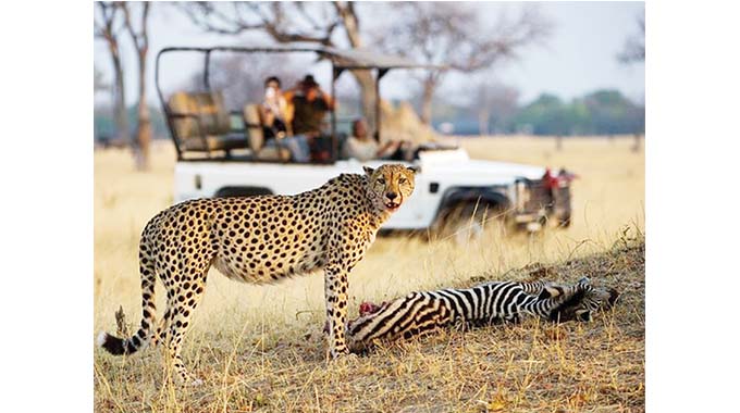 Namibian wilderness and culture charms young African twins
