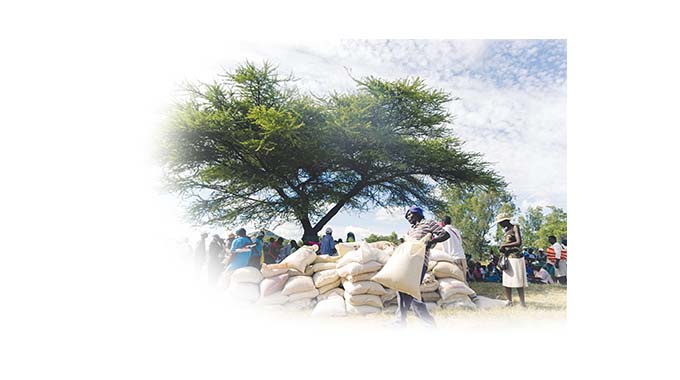 Miller brings mealie-meal to the doorstep