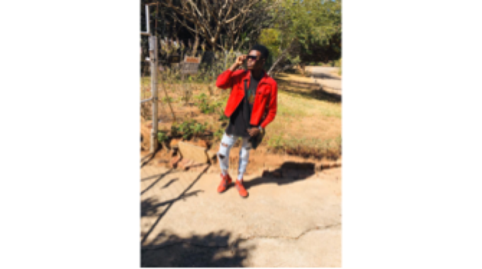 Vic Falls Danica Studio claims spot on online shows