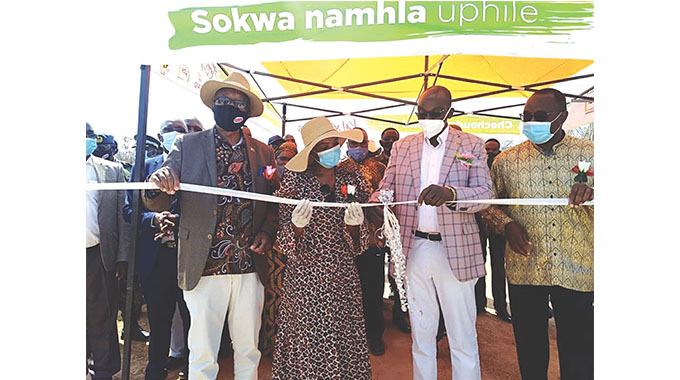Shun tribalism: VP Mohadi