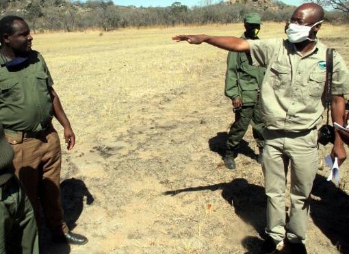 Matopo National Park reduce veld fire cases