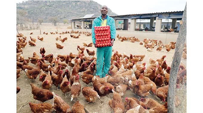 Chickens lay US$ for Moyo brothers