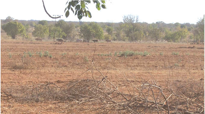 Makwe Irrigation Scheme now an eyesore