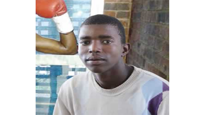 Frustrated boxer turns to landscaping