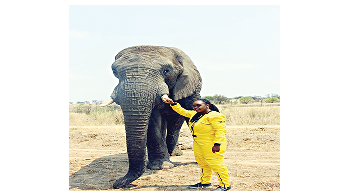 Best time to visit Antelope Park is now!