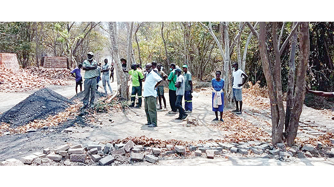 Hwange’s illegal brick moulders sing the blues