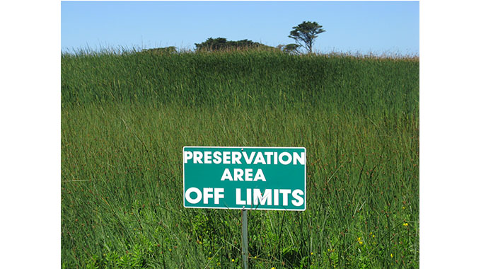 The return of fortress conservation