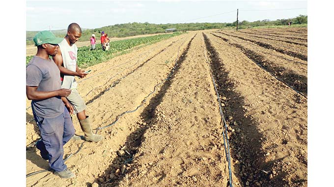 Farmer does wonders in the ‘dry region’