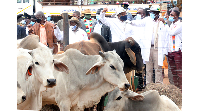 Govt launches new livestock programme