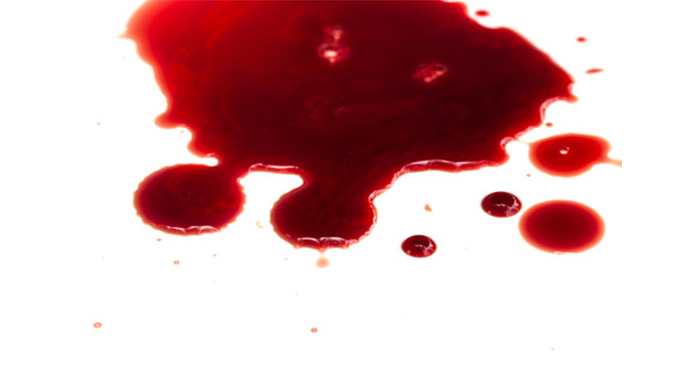 Gruesome murder in Gwanda