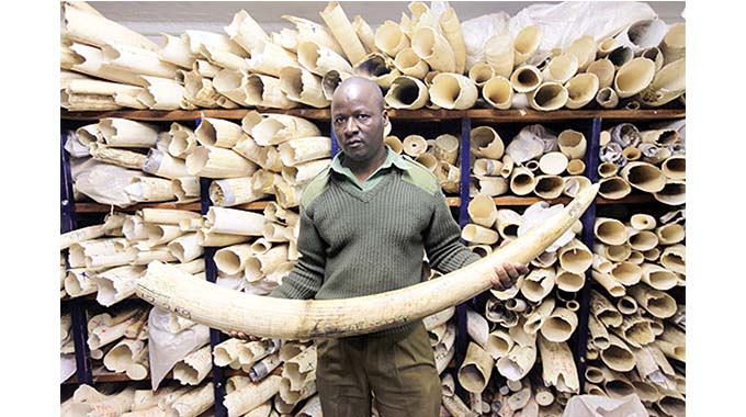 Open letter to Sadc heads of State: More than business as usual needed to save people and animals from Covid-19 destruction