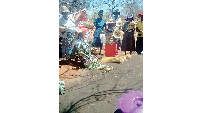 Economic focus pays off for women’s organisation