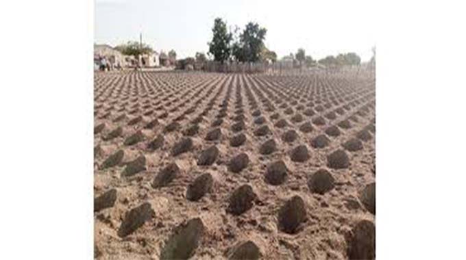 Hooray, Hooray to zero-tillage agriculture