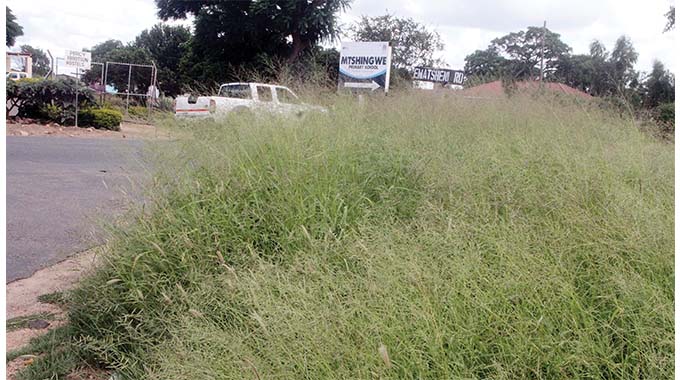 Tall grass headache for Byo motorists