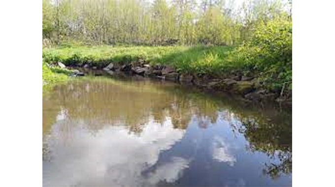 JUST IN: Epileptic Binga man drowns
