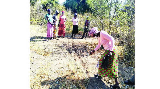 Forest restoration: a path to recovery and well-being