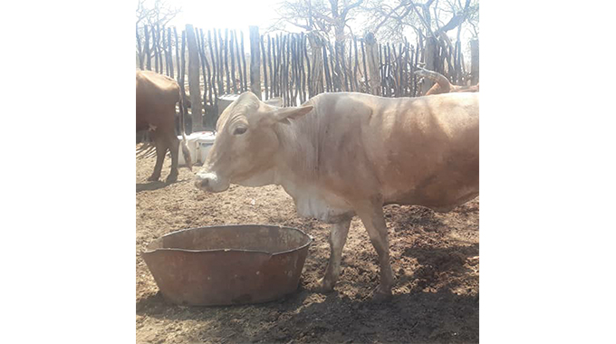 Trees for livestock production