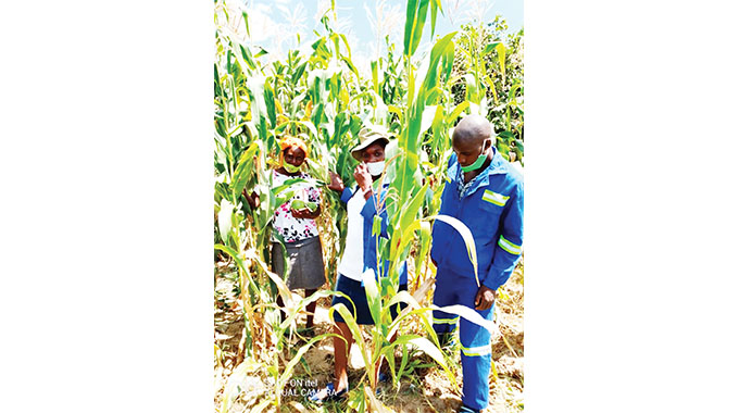 Intwasa boosts Mat North food security