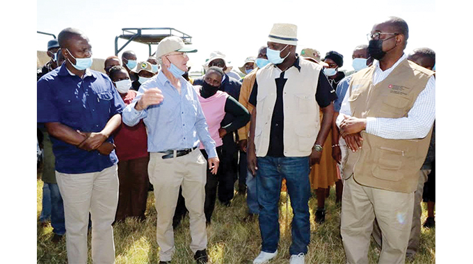 Government extends target for winter wheat hectarage