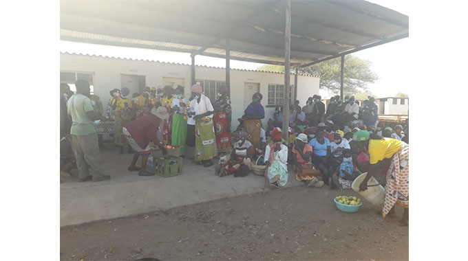 JUST IN: Zanu-PF Hwange DCC develops a piece of land in Jambezi into a vending market