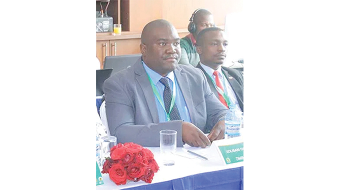 Zifa cancel friendly matches