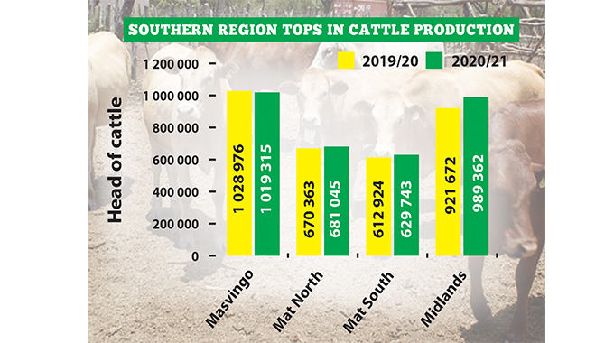 National herd: Cows come home