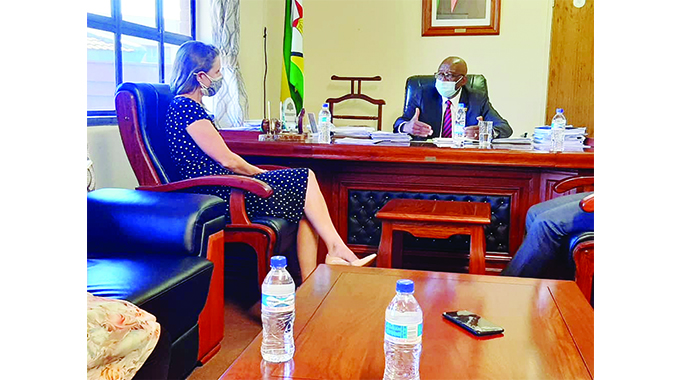 Britain hails Zim for taming machete gangs