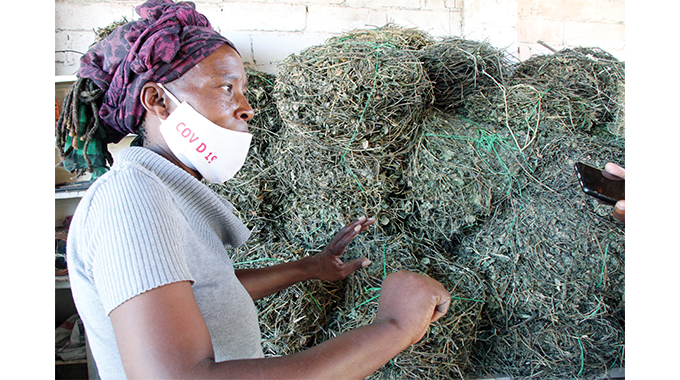 Couple sets tone in fodder farming project